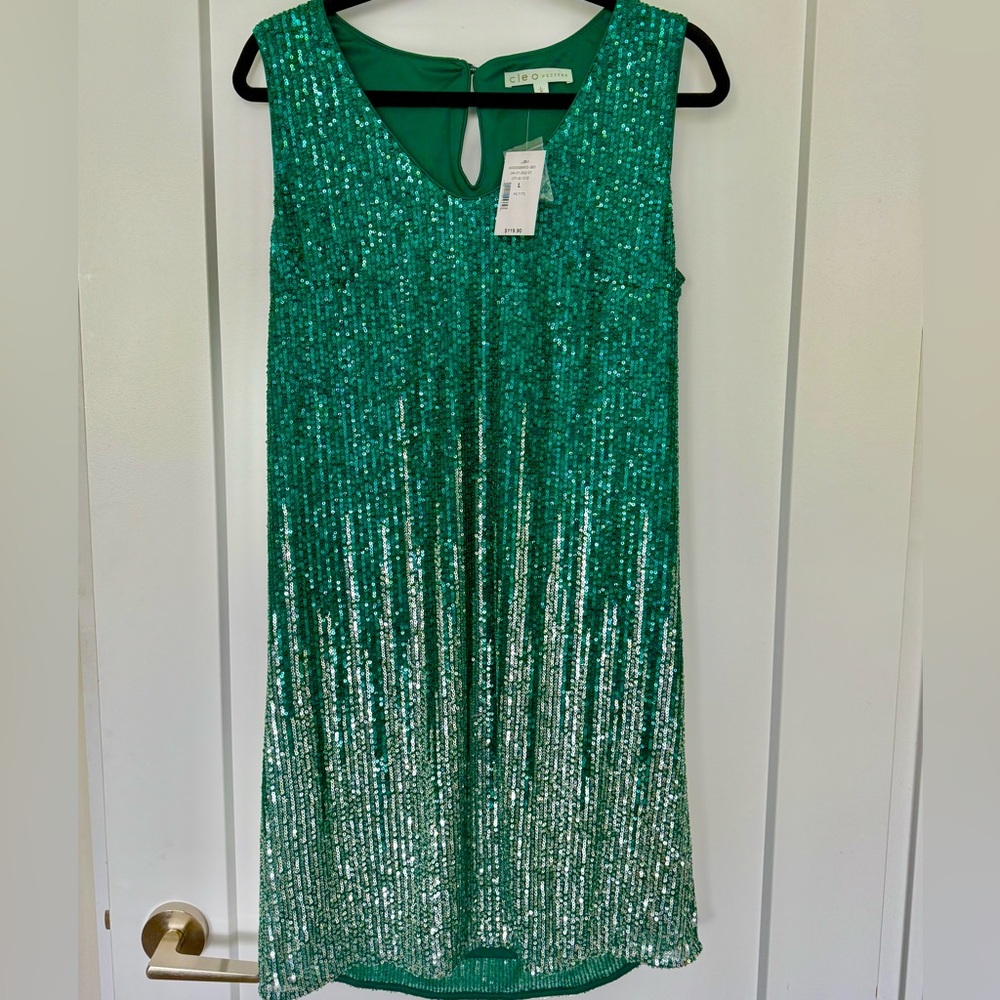 Green Sequin Sleeveless Dress CLEO
